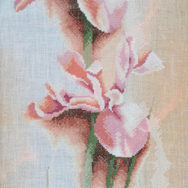 Punt de creu de Marisa Cardenal